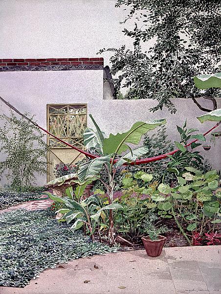 Patio con Hamaca 1978 24x18.jpg